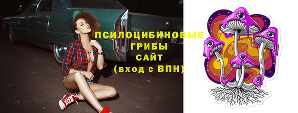 шишки Баксан