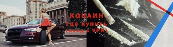 шишки Баксан