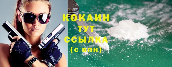 шишки Баксан