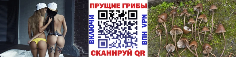 Галлюциногенные грибы Magic Shrooms  Северо-Курильск 
